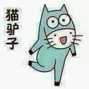 张少