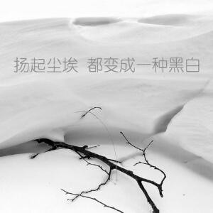 再见旧时光