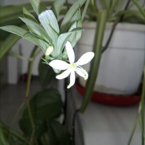 我还是我