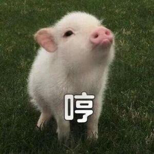 脑门