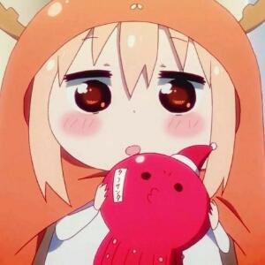 狸吉