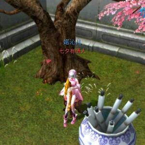 婼沁儿