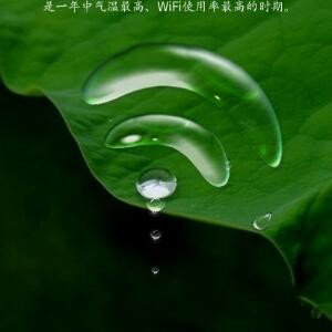 如月