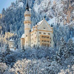 我叫x