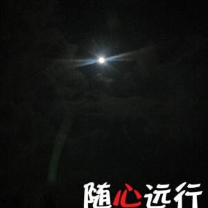 用户01632606943