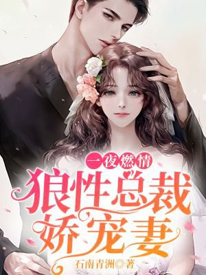 一夜燃情:狼性总裁娇宠妻