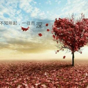 小雨