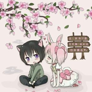 婉婉