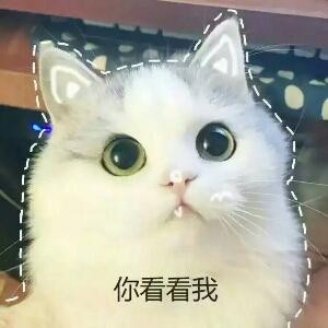 夶孜熊