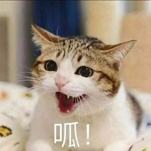 喵喵