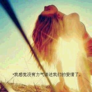 泪不是我的
