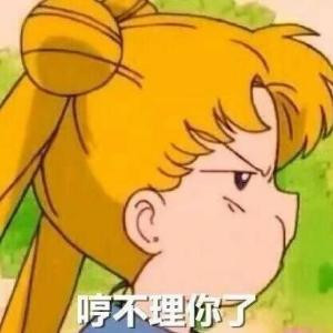 一只猪猪猪崽儿