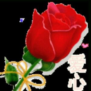 似水年华