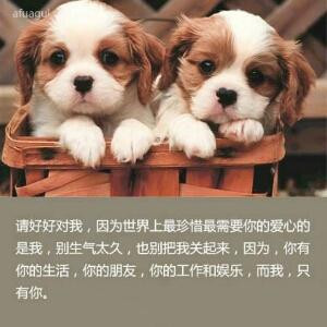 净心