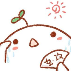 熙娉