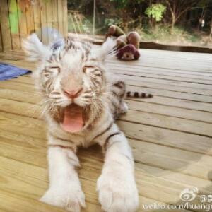 在一起