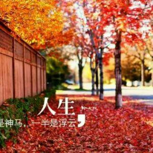 袋鼠