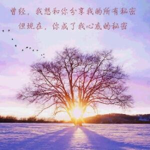 墨溪