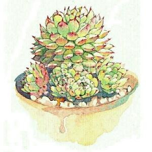 落木萧萧。。。