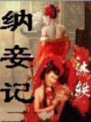 纳妾记