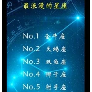 朗逸兔兔