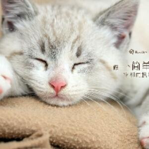 书架