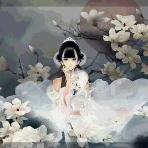 风花雪月足妖娆