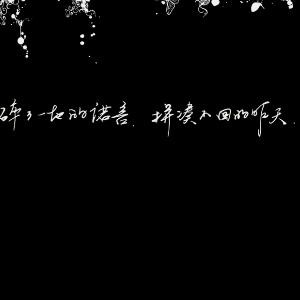 凌风殇月