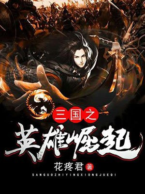 三国之英雄崛起