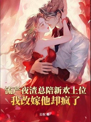 流产夜渣总陪新欢上位,我改嫁他却疯了