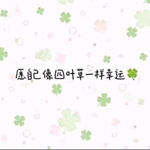 土豆还是生姜
