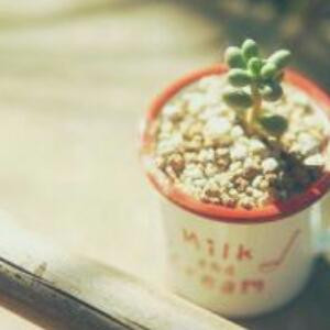 説恏的幸福╰╮ 