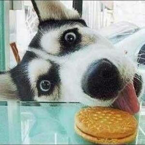 却道天凉好个秋