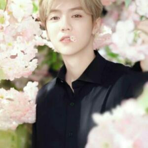 求好书