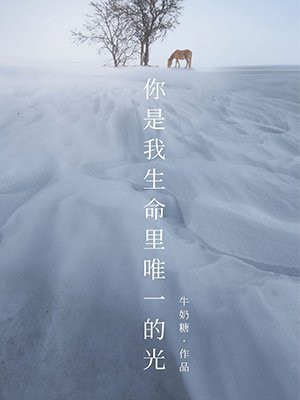 你是我生命里唯一的光