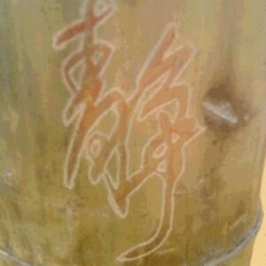 猫男孩