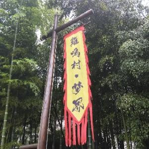 烹龙煮凤