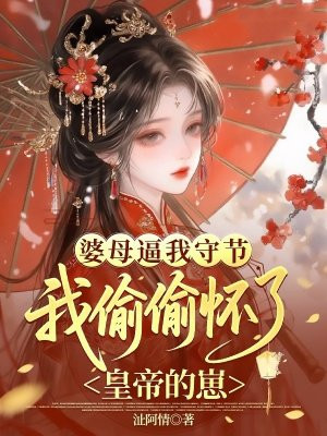 婆母逼我守节，我偷偷怀了皇帝的崽