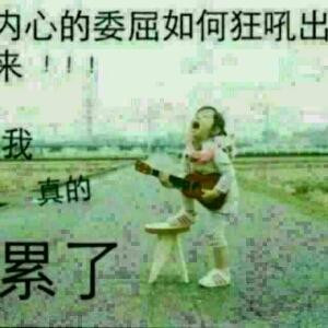 龙王苍傲