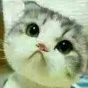 爸爸