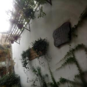 阅阅