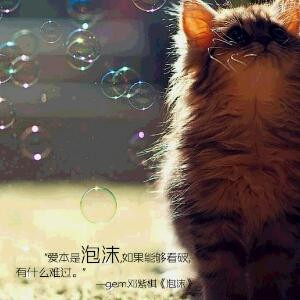 流年似水