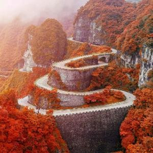 花葬丿莫离
