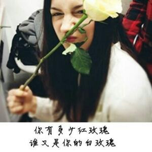 啊儿雅士