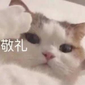 石南青洲