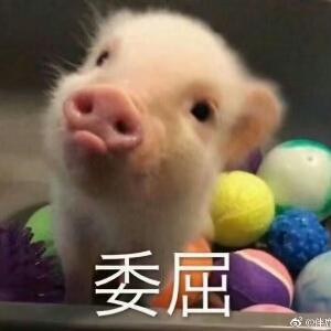 等风来