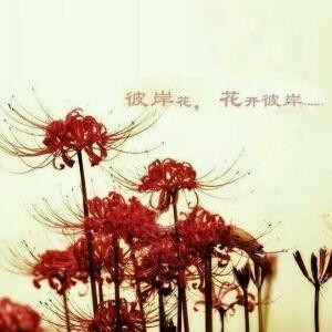 彼岸花