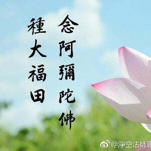 南無阿彌陀佛