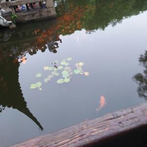 楠楠宝宝