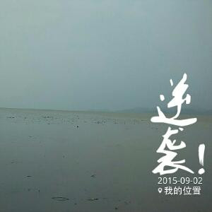 迷茫h